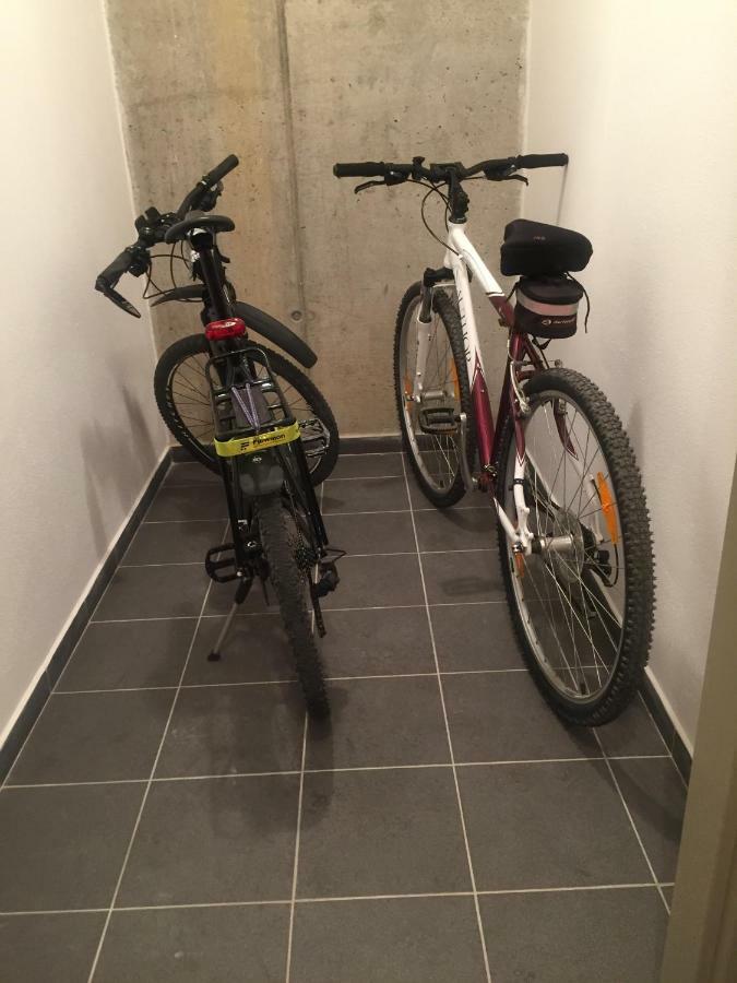 Apartman “U Nas V Podkrovi“ V Rezidenci Klostermann, Zelezna Ruda 24 Dış mekan fotoğraf